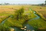 thiet-ke-web-mau-tin-tuc-00079-dan-kho-vi-tan-thu-thue